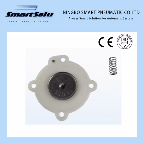 Spulenventil-Vtec-Magnetdichtungssatz 15825